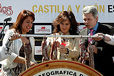 Ampliar imagen