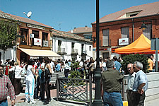Ampliar imagen