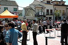 Ampliar imagen