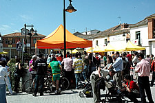 Ampliar imagen