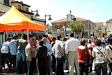 Ampliar imagen