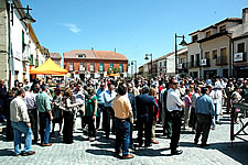 Ampliar imagen