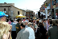 Ampliar imagen