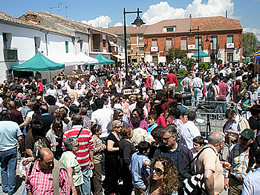 Ampliar imagen