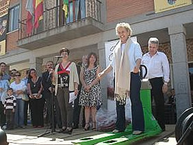 Ampliar imagen